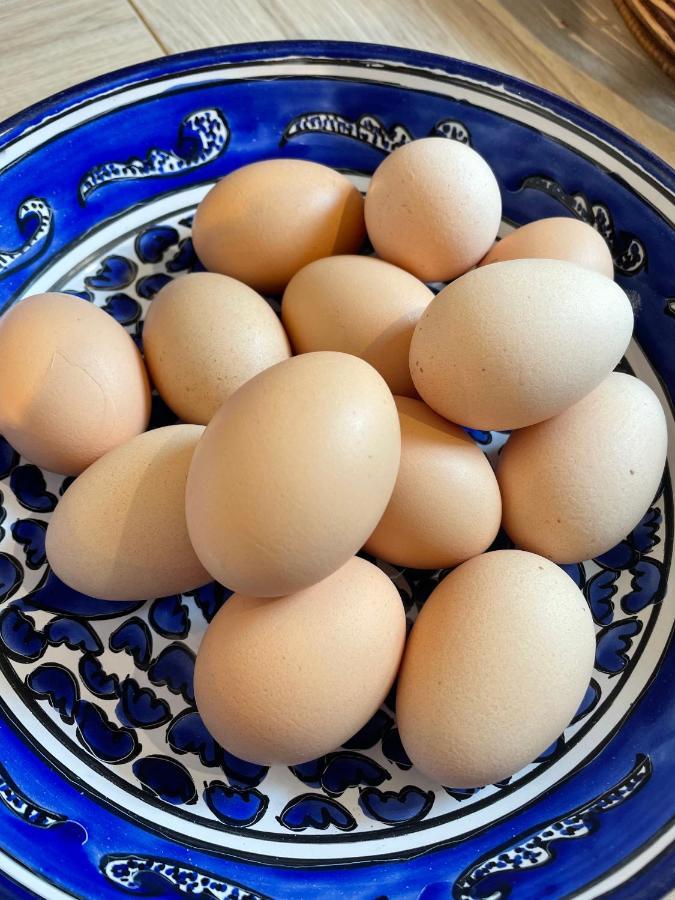 Les Gites De Claire Saint-Gâtien-des-Bois Eksteriør billede